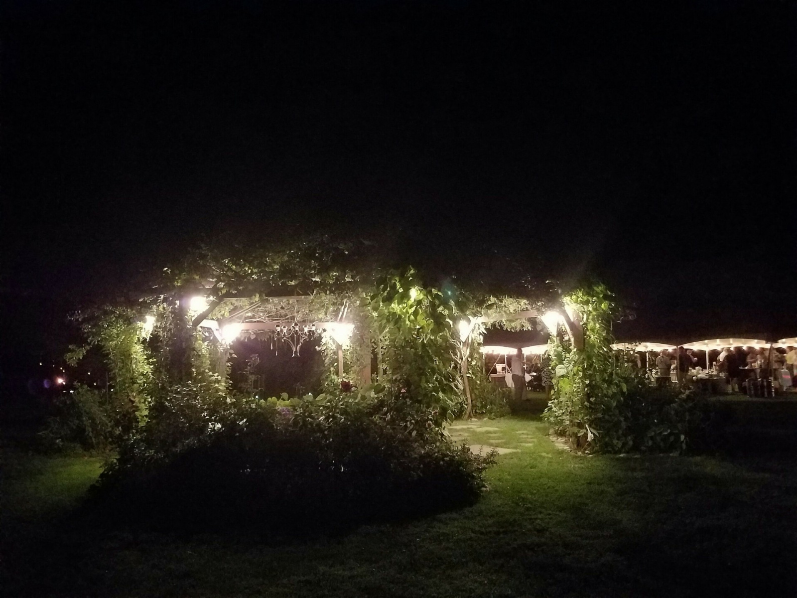 Flowering Gazebo with Reception tent in the distance